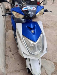 سكنس • صيني