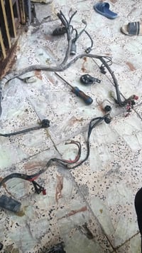 ضفيره نوزل لبيع سعره مكاني بغداد شعب