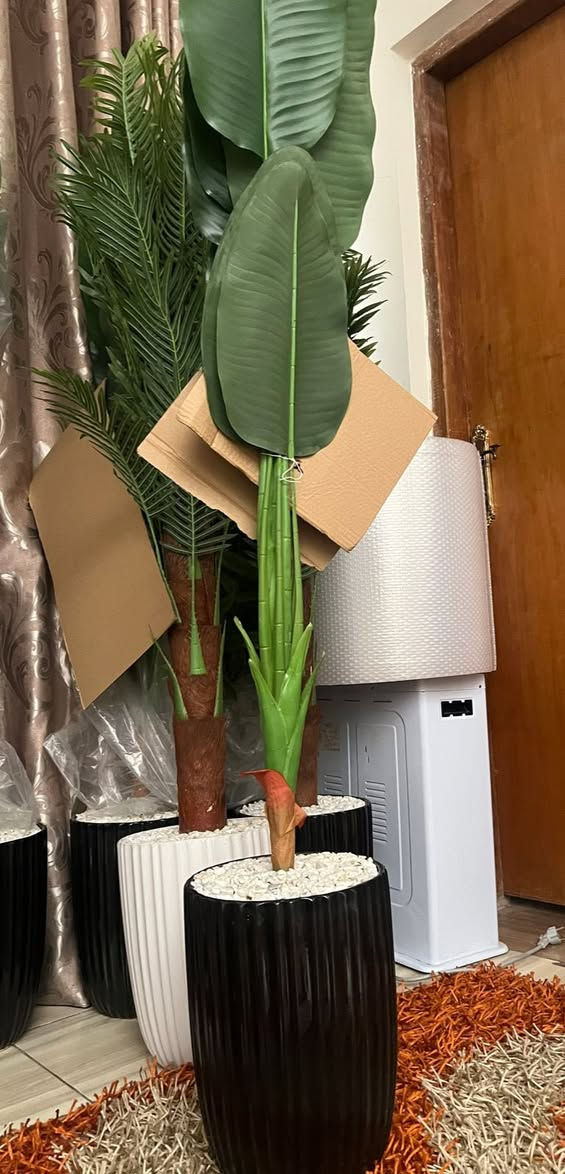 شجرة موز قياس ١٧٥ سم سندانه زجاج حجم كبير كوالتي جدا عالي السعر ٣٣ الف اختلاف ترجع بدون دفع توصيل ✅🥰🥰


**إذا كنت صاحب هذا الإعلان وتريد حذفه لأي سبب، رجاءا أرسل رسالة إلى الدعم الفني**