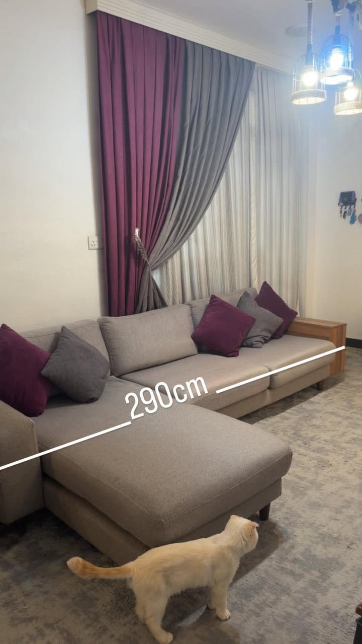 تخم للبيع ويه البرده نظيف جداً سعره 850وبي مجال بسيط لشراي بغداد زيونه


**إذا كنت صاحب هذا الإعلان وتريد حذفه لأي سبب، رجاءا أرسل رسالة إلى الدعم الفني**