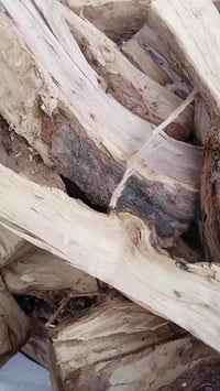 يوجد كواني حطب السعر الكونيه 5 وحجم الكونيه 55 التصال بل رقم  07830468...