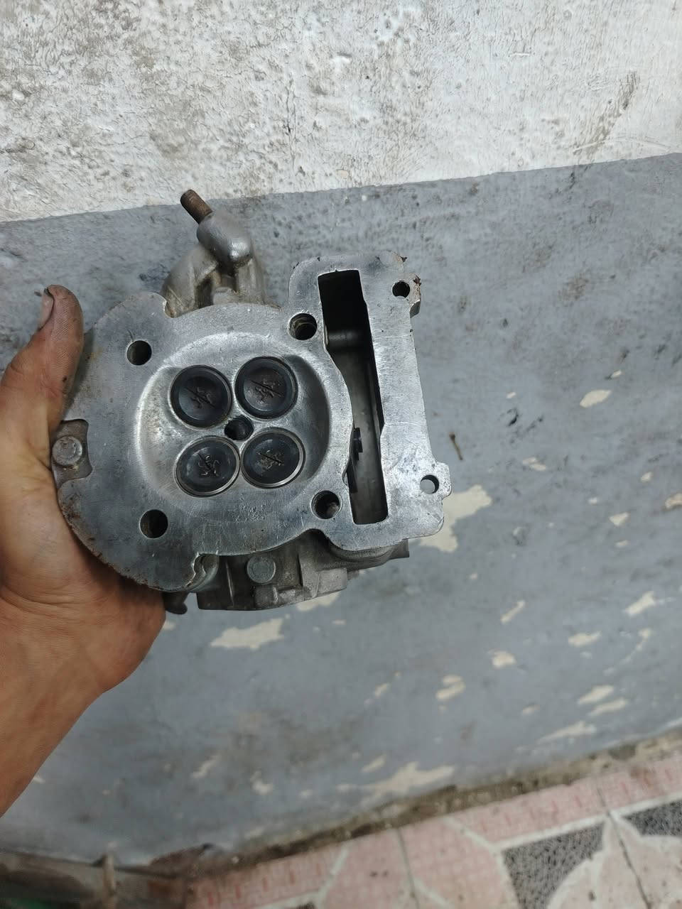 کور مشطب حجرته 68للبيع


**إذا كنت صاحب هذا الإعلان وتريد حذفه لأي سبب، رجاءا أرسل رسالة إلى الدعم الفني**