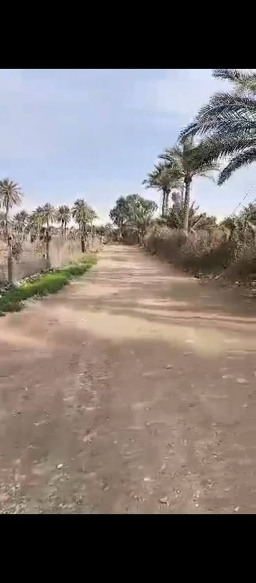 السلام عليكم قطعه 1000 متر طابو صرف 25 ركن علئ شارعين  الوجه 24  تصلح سكن وتصلح شاليه تتوفر في المنطقة جميع الخدمات  العنوان بغداد جانب الرصافه السياحي تبعد عن فلكة حي النصر وحي البتول  10دقائق منطقة  كاسر بوص للاستفسار المراسله علئ رقم الهاتف *********** تحياتنا
