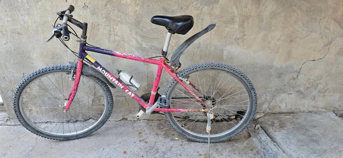 للبيع 
1. دراجه هوائيه 100 الف 

2. اكس بوكس 360 سعر 95 الف 

3.باب بلاسك طول 240 طول عرض 94  سعر 65 الف 

4. شباك بلاستك مربع 147 ×147 سعر 60 الف

5. قنفات 50 الف


**إذا كنت صاحب هذا الإعلان وتريد حذفه لأي سبب، رجاءا أرسل رسالة إلى الدعم الفني**