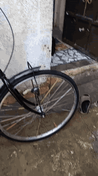 السلام عليكم باسكل بناتي حجم 27كامل ياباني بي بس الويل الامامي بي شويه عواج المكان الحريه الدولعي السعر  90وبي مجال خاص موجود ***********
