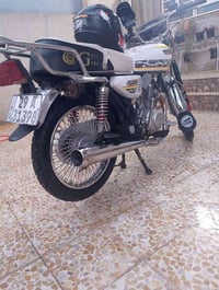 سونك • مرقم 2023 • سنوية جديدة