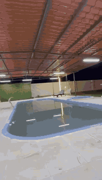 💫🌴 مـزرعــة تل الـ توت الترفيهيه– 🌴💫
🎉 عروض الشتاء الخرافية للعوائل والشباب!

💎 العرض الصباحي+مسائي

من ⏰8 صباحاً إلى 8 مساءً بس 150 ألف دينار فقط!

ابدأ يومك بنسمة هواء نقي ومسبح صافي 🤿

استمتع بوقت راحة فاخر وسط الطبيعة

💎 عرض المساء

من ⏰ 8 مساءً إلى 8 صباحاً – 150 ألف دينار فقط 🌙

إضاءة ساحرة وجلسة دافئة على أنغام الليل ✨

الخميس والجمعه ٢٠٠ الف للشفت 

للسهرات الخاصة ولحظات الهدوء التي لا تُنسى 💞

⏳ والعروض مستمرة لفترة قصيرة فقط!

📍 الموقع:

الانبار – الرمادي – الطاش- قرب مدرسه التل الاخضر

🏡 مزرعة تل توت 💎 … رفاهية بكل تفاصيلها:

✨ بناء حديث نظيف بالكامل

🌸 حديقة واسعة مزروعة بالورود والأشجار

💦 مسبح بتعقيم وفلاتر حديثة

🔥 جلسة شواء خارجية 

⛺خيمه بدويه

🏀كره طائره

🎾منضده 

⚡ كهرباء 24 ساعة

🚻 صحيات غربية وشرقيه حديثه

🏓 ألعاب للكبار – 🎠 ألعاب للأطفال 

📲 للحجز والاستفسار:

اتصال او واتس 📞***********
