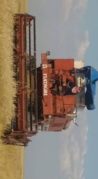 حصادة لافيردا • كركوك الرياض