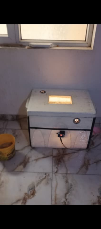 فقاصه فلين تشيل 110 تقريبن شرط تفقيص مجرب سعر 70 بي مجال شراي يجي خاص شرط تفقيص موصل الايمن


**إذا كنت صاحب هذا الإعلان وتريد حذفه لأي سبب، رجاءا أرسل رسالة إلى الدعم الفني**