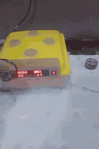 فقاسة مستعملة • ٤٨ بيضة • كوت