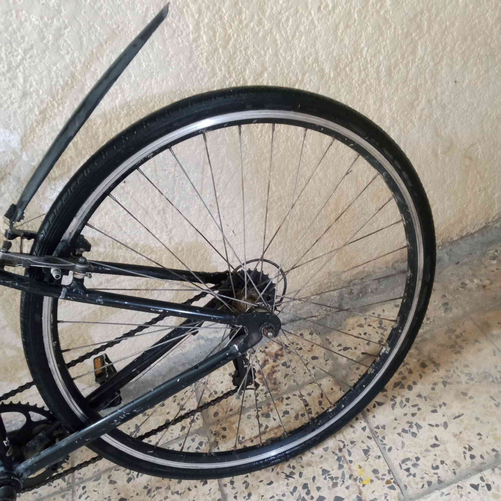 قيم فوك ال 80 وبل عافية على المشتري /بغداد


**إذا كنت صاحب هذا الإعلان وتريد حذفه لأي سبب، رجاءا أرسل رسالة إلى الدعم الفني**