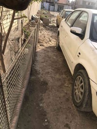 سورن • ٢٠١٣ • رقم دولي