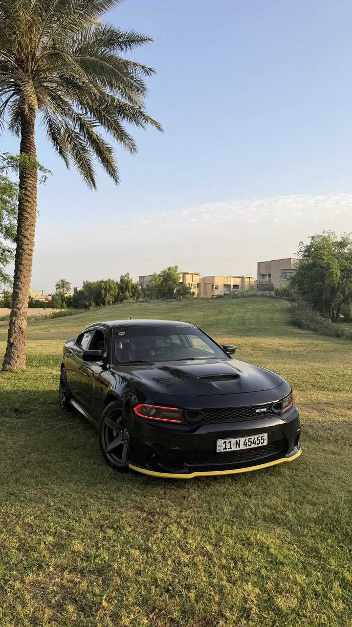 ‏مراوس …مراوس…مراوس سكات باك حصراً 
Dodge charger R/T 🇺🇸
تشارجر ارتي 2016 
‏5.7 HEMI 🚀🇺🇸
ماشيه 125
خزن ميموري ⚪️
شاشه كبيره كار بلي 🖥️📍
كشنات جلد تدفئه وتبريد ♨️❄️
ستيرن تدفئه ♨️
مري تعتبم 😎
مري قلاب ع R
باقي المواصفات معروفه ↗️
لد متغير الوان بالتطبيق🌈
لايت عدسه نهار 🌞
بروجكتر دبل ريشه تمشي بي ع دولي متحتاج لايت بعد 💥
تخم تاير وويل نجمه خسفه قويه ↗️
ادامه كامله من الالف للياء ↗️
بوليش و نانو سيراميك ضمان 5 سنوات مركز M3 ✅
 ____
السياره برمجة مصطفى إيـگل 🦅🔥
عليها شوته K&N 🚀
بلكات ريسنك njk⚡️
ولف حماوه ريسنك مشيموتو 82🌡️
اويل كاچ كان اصلي باور ستيل🛢️
إكسل سوبر تراك باك 🐎
عليها تفريغ وداون بايب تفصال واكس بايب 
وسطيات slp
دبات سود SRT 🎶
بوابات كتم 100‎%‎🔇
نيكلات كورسا كاربون فايبر
كله شغل علي الوادي 🔥
كفرات فچوچ بريمبو هبات ضوئي بالليل 🩵
___
الحادث صبغ جاملغ خلفي بدون كص جهة السايق 💢
قبغ جنطه مبدل وكاله نفس اللون ✅
السياره بدوون ايـرباك ❌ بحالة الوكـاله✅
السياره اجت من امريكا بيها كلير بالقماره فقطط كليرر ⚪️
السياره مصروف عليها ومداريها مال جناي استعمال يومي ✅
شباب للمراوس فقط .🤍


**إذا كنت صاحب هذا الإعلان وتريد حذفه لأي سبب، رجاءا أرسل رسالة إلى الدعم الفني**