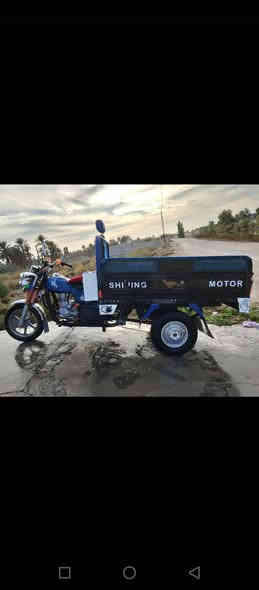 السلام عليكم ستوته للبيع ام الطير موديل 21 فحل عالي مكاني ديالى خالص سراجق رقم ***********
