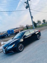 التيما SL • ٢٠١٧ • جلد بوس