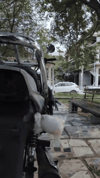 السلام عليكم
دايون عضم للبيع
مديل 2020
طالعه بسنه 2023
اوراق اصوليه 
الدراجه كامله من كلشي 
سعر الدراجه مليون و بيهة مجال
***********
