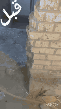 لباخ تكنيد مساطر جراره سقل  ***********
