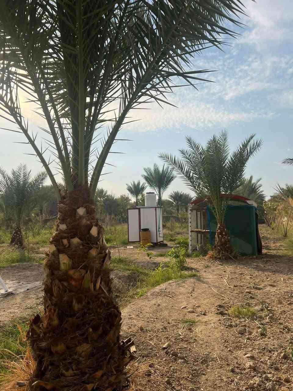 السلام عليكم

للبيع دونم ركن

بغداد الراشدية … مركز الناحيةخلف مشروع المراسمة

  طابو زراعي سند 25 تحويل مباشر باسم المشتري واجة 32 م النزال 80 م شارع سابيس عرض 12 م مسيج كامل واجه 32 م عل شارع  

دونم ركن مسيج بي ارسي مع جادر 
بي مراجيح
حمام وتواليت
كرفان منام
بير وسقيفة وماطور روبن مع سقي من المشروع
مصاطب كعدة مع كراسي
سقيفة 12 متر
مزروع نخل حمال مع 40 نخلة أنواع جديدة

‭0774 414 2769‬
