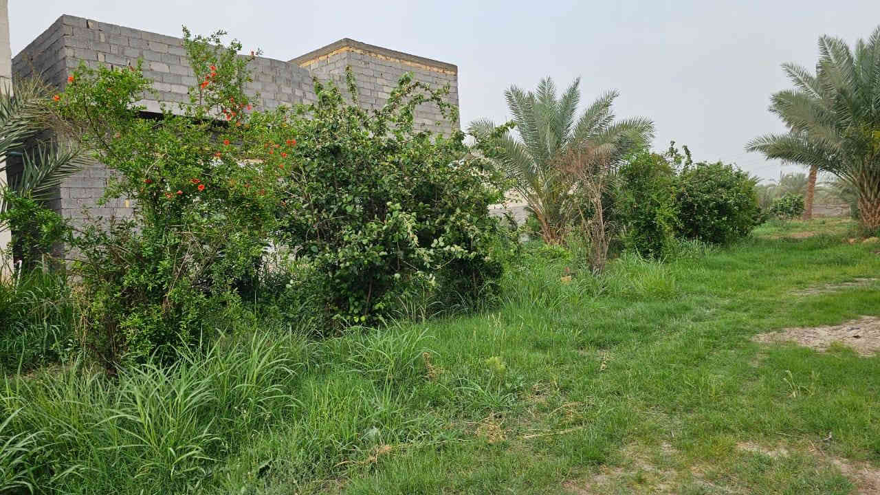 بستان للبيع مساحة 4 دونم واجه 100 متر على التبليط مباشر مع 3 بيوت مساحة كل بيت 250 متر تحت البناء طابو سند 25 (تحويل أسهم بإسم المشتري) متوفرة كافة الخدمات (تبليط /ماء/ كهرباء/ مدارس/ مركز صحي/ الموقع كربلاء - شارع رابط الزبيلية يبعد عن شارع نجف كربلاء 3 كيلو يبعد عن شارع طويريج كربلاء سيطرة الإبراهيمية 3 كيلو يبعد عن مركز مدينة كربلاء الإمامين(ع) 8 كيلوو
*********** /***********📞
