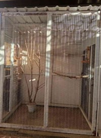 07819758813 تواصل على هذا الرقم