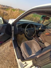 رأس الثور • شاشة كامره • نجف الحريه