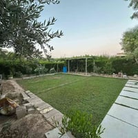 كركوك منطقة ٥٥ • ١٦٣م • طابو ملك صرف