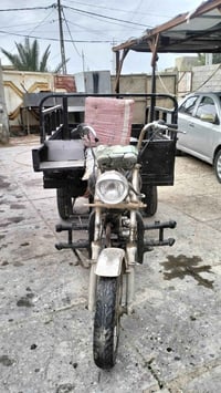 اخوان ستوته موديل 15 اوراق ضايعه ستوته نظيفه بيها فطر صغير بالرقبه عنو...