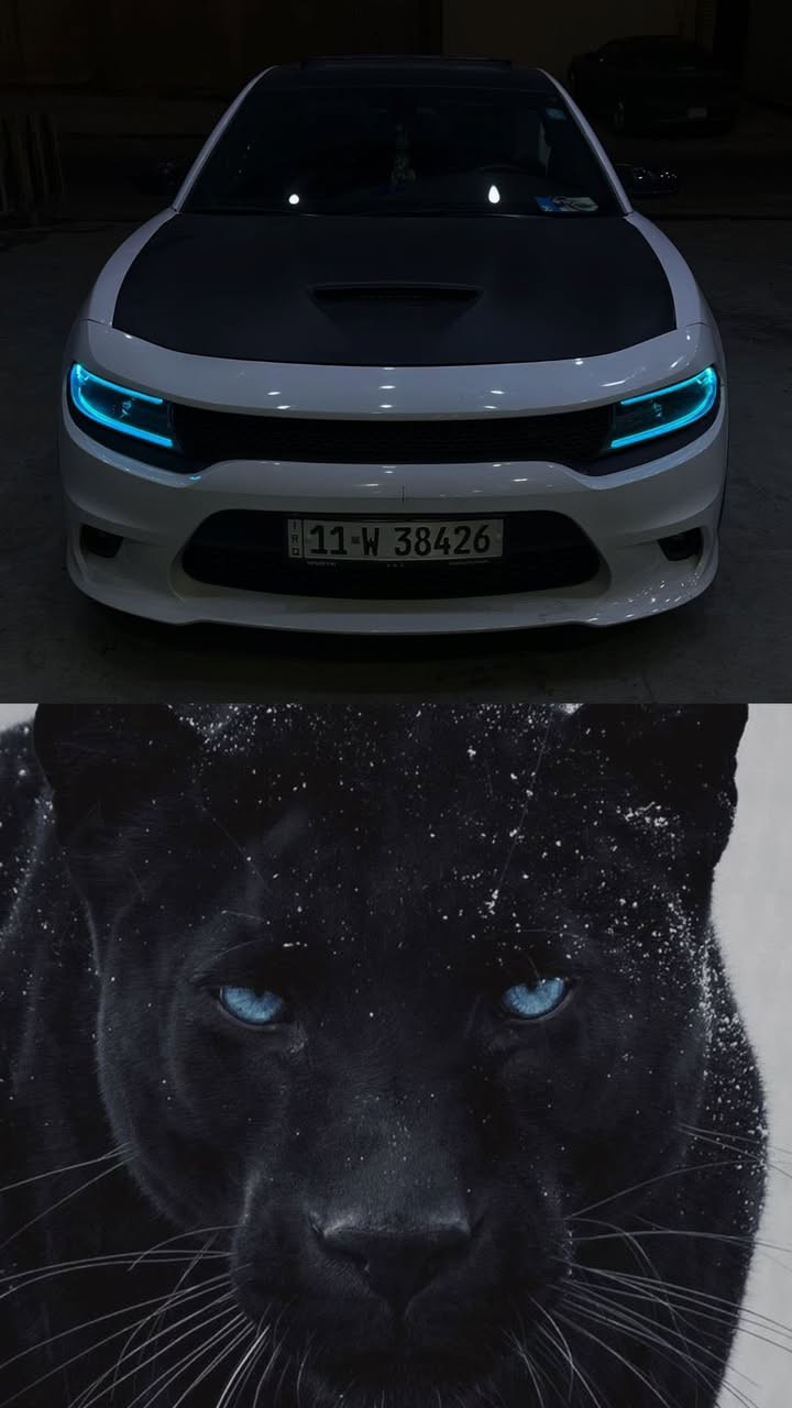 السلام عليكم
جارجر ار تي سوبر تراك فول للاخير
للي يدور حادث نظيف
السيارة حادثها باب سايق بس
بدون تكمه بدون دوسه الباب فقط
موديل 2015
ماشية 82 
رقم بغداد باسمي
فتحة
كشنات جلد وكنتارا
كهرباء
ويل نجمة خسفة قوية
لدات زراعة تحكم الوان
دشبول لد تحكم الوان
داون بايب ستيل
دبات فورتك ريموت
اكسل قفل
عليها برمجة طلال ورشة 4Brothers
حدادية جديدة كله اصلي
فريز وكمبريسر جديد اصلي
زوج تايرات جديد  
قمارة اسود بلاد
كماليات مختنكة السيارة

السيارة نشطة واكفل نشاطها ك كير ومكينه ويم اي ابو سونار 
كلشي بالسيارة جديد مبدله بيدي بس صار عندي سفر طارئ علمود الماجستير 
للبيع فقط بدون مراوس 

السعر خاص
او تتصل بيه  ***********
