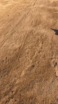 ⸻

🏡🔥 للبيع – أرض سكنية بالـ7 كم 🔥🏡
 • المساحة: 200 متر مربع
 • تسلسل العقار: 23 ألف
 • السعر: 21 مليون قابل للتفاوض
 • الموقع: شارع 10، منطقة سكنية بالكامل
 • المميزات: موقع ممتاز للسكن، قريب من كل الخدمات

📞 للاستفسار: ***********
📍 مكتب أرض السلام – الرمادي، شارع 20 مقابل ماركت العبيدي

لا تضيع الفرصة، الأرض هاذي ما تبقى طويلاً!
