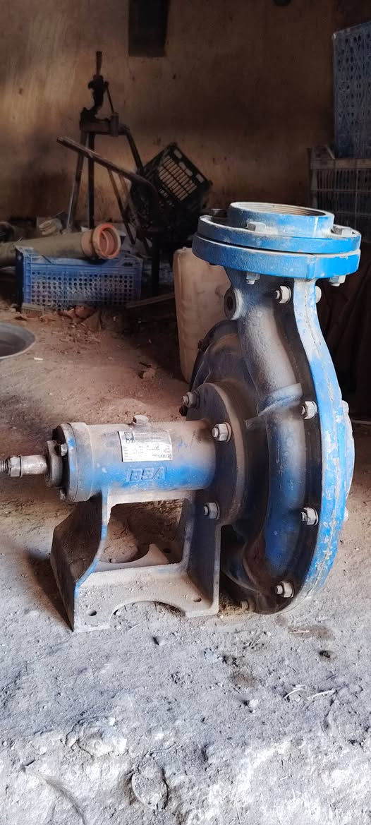 سلام عليكم  خنزيره مال بتر ضقط عالي شرك نوزل تشقل 60 للبيع  سعر 125بيه مجال رقم ***********
