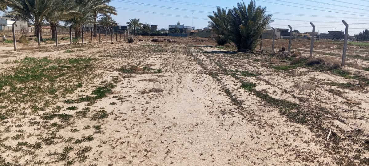 سلام عليكم قطعه ارض للبيع 
المساحه 500 متر واجهة 25 ونزال 20
سند طابو زراعي 25 تحويل مباشر 
الموقع قرب شريفه بنت الحسن 
السعر 65 . اي استفسار مراسله الصفحه او الاتصال ***********
