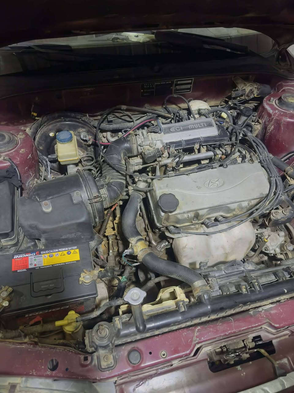 السلام عليكم سوناتا تو
موديل/91 نضيفه كلش♕

فحص/كشر+كير+محرك تفحص تشوف بعينك خير من الله

سياره/مصبوغه عام للجماليه♡

 ضربتها/جاملغ سايق فقط *

محرك/2000 كير عادي

رقم/ ذي قار مشروع وطني!!! 

 كلشي/ موضح كدامك سياره مرتبه ومداريها ♕♡

سعر/ 45 $ وبيها مجال بسيط  

مكان/ ديالى الخالص هبهب 

استفسار/خاص وتدلل👥


**إذا كنت صاحب هذا الإعلان وتريد حذفه لأي سبب، رجاءا أرسل رسالة إلى الدعم الفني**