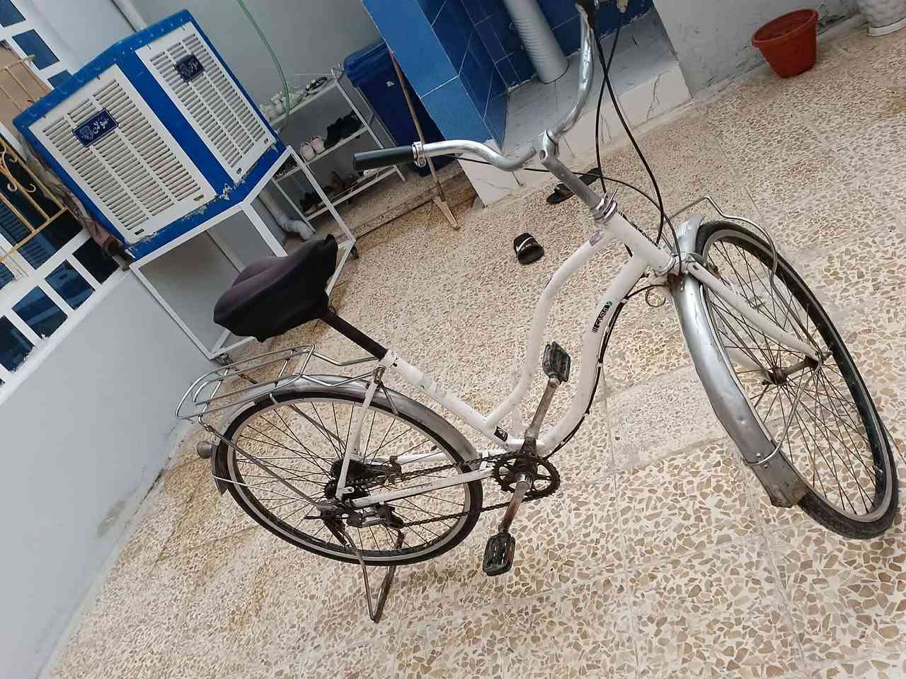 بسكل عبد الحليم حجم 26سعر26بي مجال


**إذا كنت صاحب هذا الإعلان وتريد حذفه لأي سبب، رجاءا أرسل رسالة إلى الدعم الفني**