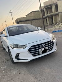 النترا • ٢٠١٧ • الكرمة