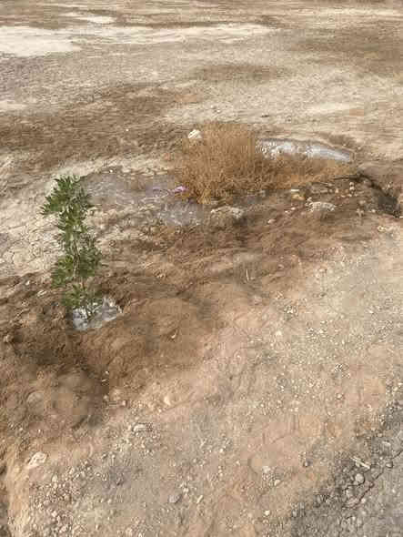 #يالله السلام عليكم 
دونم ركن للبيع في مجمع ابو طالب مجاور مجمع محمد حلوه طابو زراعي سند 25 تحويل مباشر بأسم المشتري

الواجهه 56 والنزال 45 

خدمات كامله عرض الشوارع 10متر تبليط

عنوان المجمع شارع بغداد سايد الدخول عامود 52 يبعد عن الامام 7 كيلو 

السعر..170مليون قفل

ملاحضه يباع منه نصف دونم ايضآ بسعر 85مليون

للأسفسار اتصل على.. ‭٠٧٧٤ ٠٦٦ ٩٧٣٨‬
