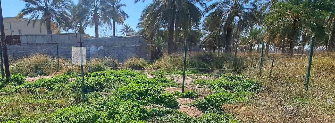 ٣٣٫٤٣٢٩١٨١، ٤٤٫٣٦٥٨٤٧٣
السلام عليكم قطعه ارض للبيع المساحه 100متر 
 10 × 10 مربعه* العنوان السريدات المربع الرابع   تبعد عن جزيره بغداد السياحيه(( 2 كيلو متر )) السعر  40 مليون بيهه مجال بسيط 
رقم الهاتف؛: ***********
