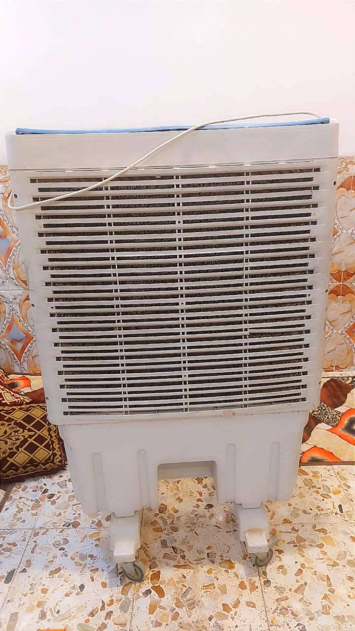 كنيفرا شقاله ع الشرط وكلشي شقال بيهه وعله الشرط مكان نجف الاشرف وهاذه رقمي *********** وتساب موجود
