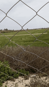 الاستفسار اتصل
***********
