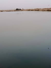 بحيرات 100دونم مجازه للايجار07733033432