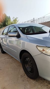 ويل الاسود • مقاس 16 • مراوس