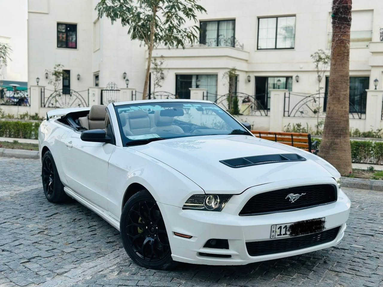 تفيد الشباب والبنات
موستنك 2013
بريميوم كير اوتو
ماشيه 73 فول مواصفات
داخل لون ابيض كشنات جلدكشن كهرباء دشبول 7 الوان دشبول المنيوم شاشه كامره  عليه بنيد GT
عليه سبويلر GTويل 20 تو سايز رقم بغداد تحويل مباشر هزه جديده 
اخوان سياره بيه قطعتين صبغ وقطعه بنيد تحديث GT
لغود شواصي مكفوله 
 وعندي سونار بيه هم 
مكان السياره المنصور 14 رمضان
السعر رقم 1 رد تلقائي
للاستفسار *********** بغداد, العراق
