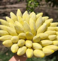 حجز خاص • خدمات