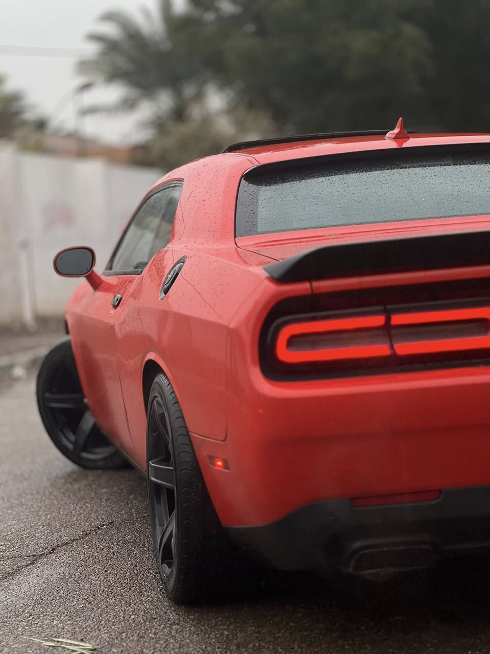 السلام عليكم
للبيع دوج جالنجر ٢٠١٧
لون برتقالي مميز
السياره فول مواصفات للاخير sxt بلاص
ماشيه:٥٠ميل
مواصفات السياره
فتحه
شاشه كبير
لايت زنون
مثبت سرعه
تحديد مسار
نضام اسبورت
بصمه ابواب
كشنات جلد حضن تدفئه تبريد
تشغيل عن بعد
ستيرن تدفئه تبريد+ كهرباء
كامره دواره
تدفئه مري
حساس ونقطه عميه بل مري
رادرات جانبيه

ويل حجم ٢٠نجمه خسفه قويه
تايرات تخم جديد
داخل سياره كابون+ احزمه لون برتقالي + دوسات

حادث جاملغ وبنيد فقط قطعتين تبديل 

السعر ١٧٤ وبيها مجال مكاني بغداد الاعظميه او الصليخ

***********
