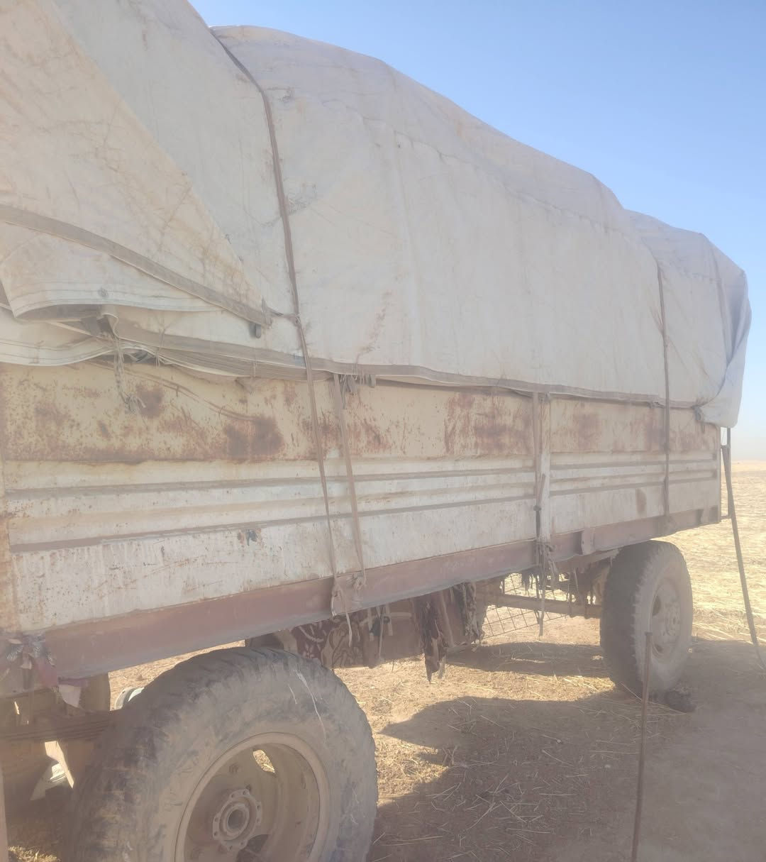 عربانه البيع الطول 5 أمتار) (***********

