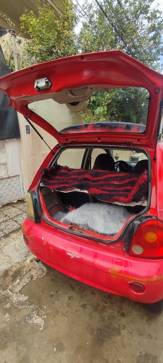 السلام عليكم 🌹

كوكو رقم صدامي بغداد 
كير عادي 
كير ومحرك شرط
كاربون بانزين بيها
شرط وكاله وتحويل صاحبها بالموصل
كهربائيات زينه 
نضافتها كدام عينك 
20وبيها مجال اذا شراي 
مكاني بالايسر 🌹 واذا عندك سياره أعارض حسب الاتفاق


**إذا كنت صاحب هذا الإعلان وتريد حذفه لأي سبب، رجاءا أرسل رسالة إلى الدعم الفني**