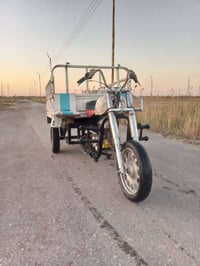 ستوته • مكفوله • شاميه