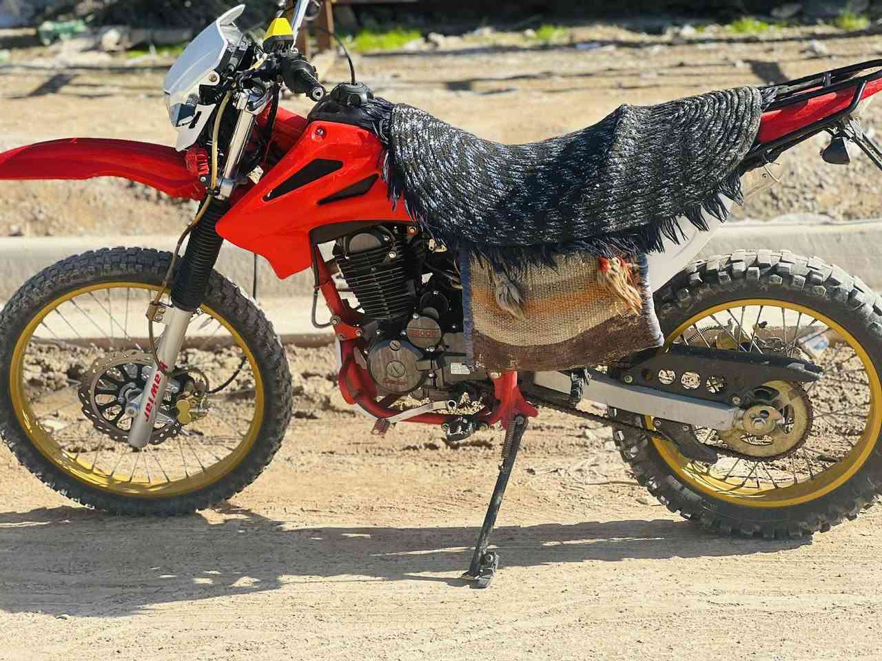 سلام عليكم
مكلف بلنشر 
دراجة قفاز للبيع  موديل 23 دراجة حلوة ونضيفة 
المكان ديالى ناحية كنعان 
للستفسار اتصال فقط 
***********
