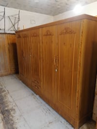كنتور • ٥ باب • نقش زان