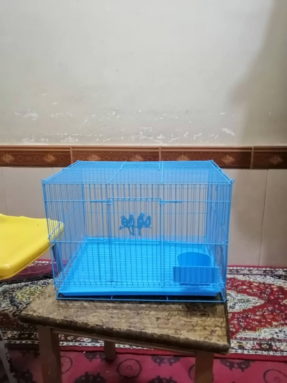 قفص نظيف للبيع طول 28س وعرض41س سعر ٨ الف بي مجال مكان حي معلمين


**إذا كنت صاحب هذا الإعلان وتريد حذفه لأي سبب، رجاءا أرسل رسالة إلى الدعم الفني**