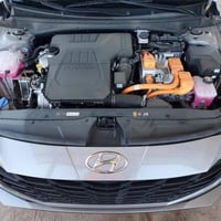 الانترا هايبرد • ٢٠٢٣ • بدون صبغ